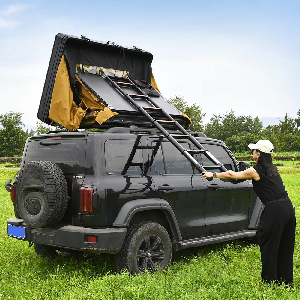 Outdoor 4 People Waterproof Po - Emergency Mylar Tent 评论和价格